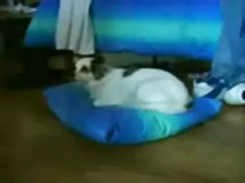 ரெட்ஹெட் மகள் தனது த ...